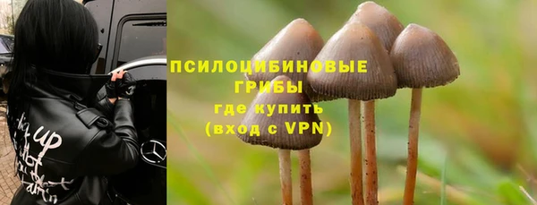 СК Верхний Тагил
