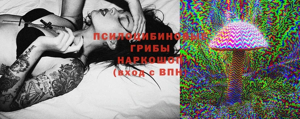 СК Верхний Тагил