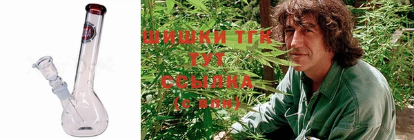 СК Верхний Тагил