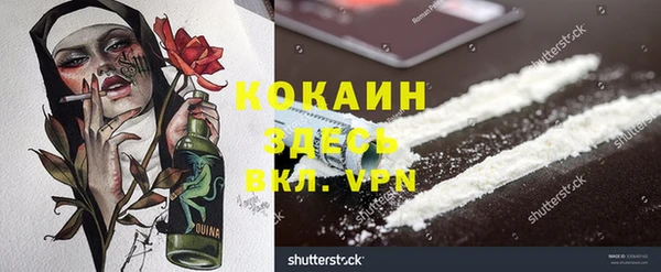 соль ск Верея