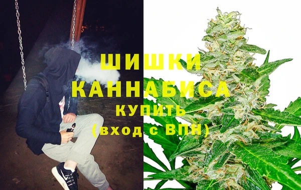 ПСИЛОЦИБИНОВЫЕ ГРИБЫ Верхнеуральск