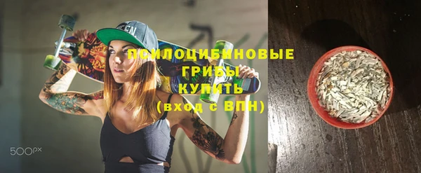 ПСИЛОЦИБИНОВЫЕ ГРИБЫ Верхнеуральск